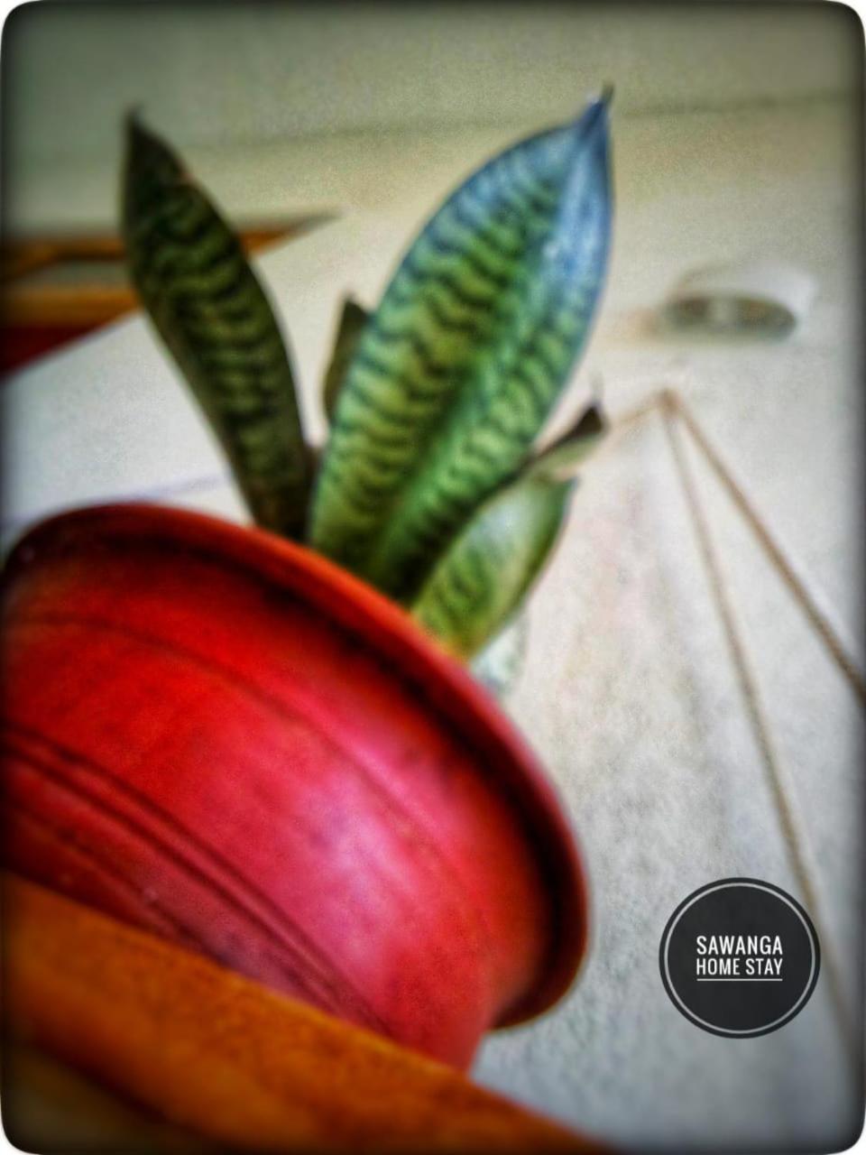 ווליגאמה Sawanga Home Stay מראה חיצוני תמונה